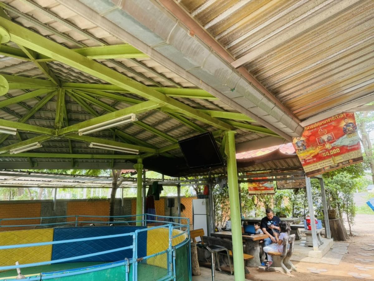 ขายที่ดินโคราช นครราชสีมา : ที่ดินลดราคาถูกมาก ใกล้โรงเรียนวัดสว่างอารมณ์ ต.โคกสูง จ.นครราชสีมา