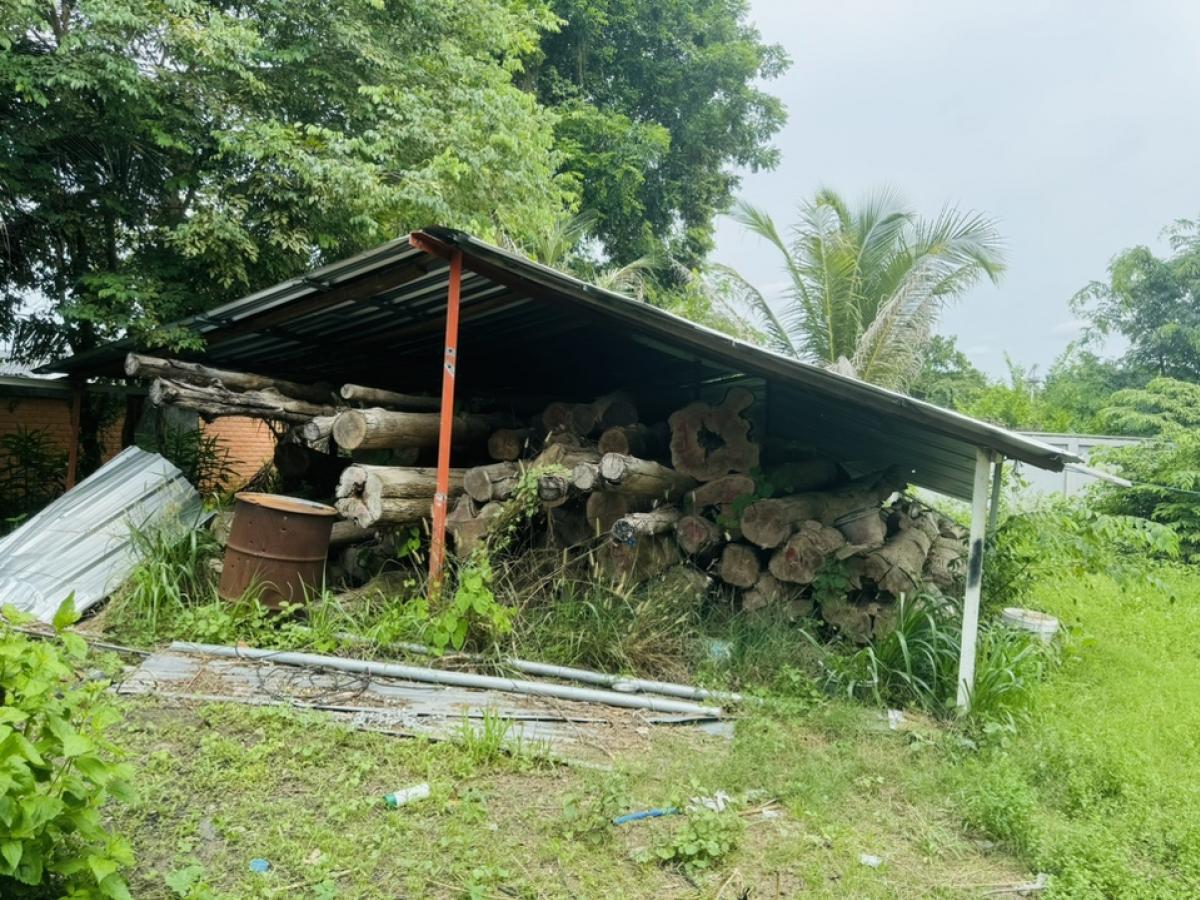 ขายที่ดินโคราช นครราชสีมา : ที่ดินลดราคาถูกมาก ใกล้โรงเรียนวัดสว่างอารมณ์ ต.โคกสูง จ.นครราชสีมา