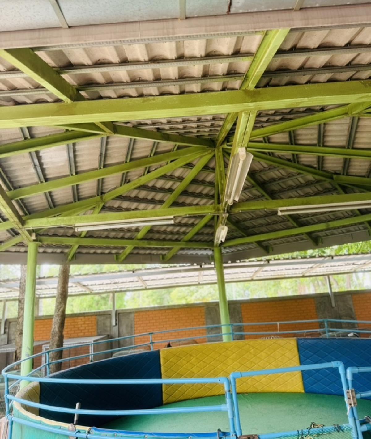 ขายที่ดินโคราช นครราชสีมา : ที่ดินลดราคาถูกมาก ใกล้โรงเรียนวัดสว่างอารมณ์ ต.โคกสูง จ.นครราชสีมา