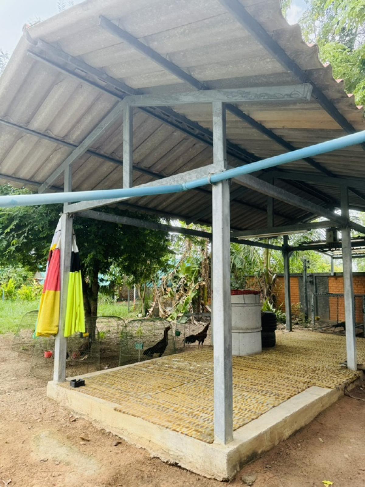 ขายที่ดินโคราช นครราชสีมา : ที่ดินลดราคาถูกมาก ใกล้โรงเรียนวัดสว่างอารมณ์ ต.โคกสูง จ.นครราชสีมา