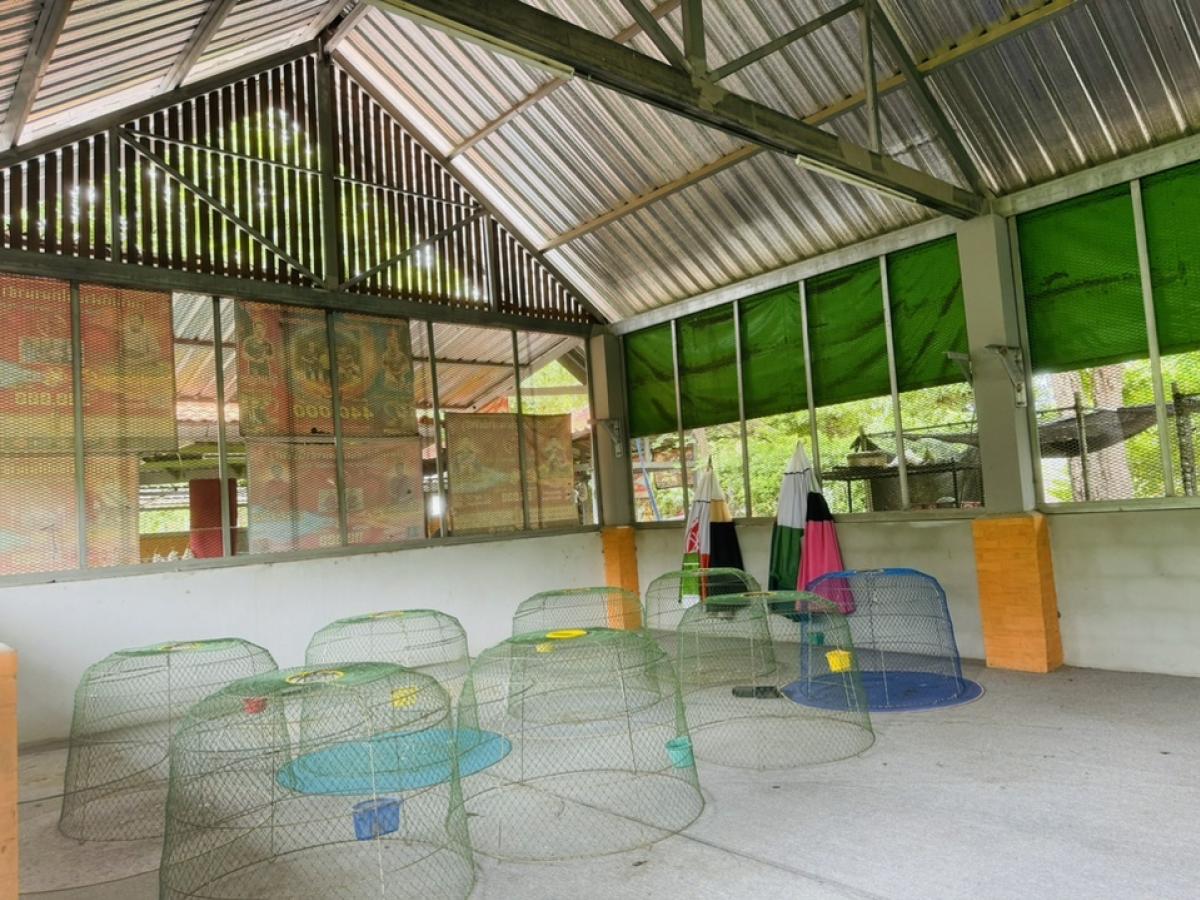 ขายที่ดินโคราช นครราชสีมา : ที่ดินลดราคาถูกมาก ใกล้โรงเรียนวัดสว่างอารมณ์ ต.โคกสูง จ.นครราชสีมา