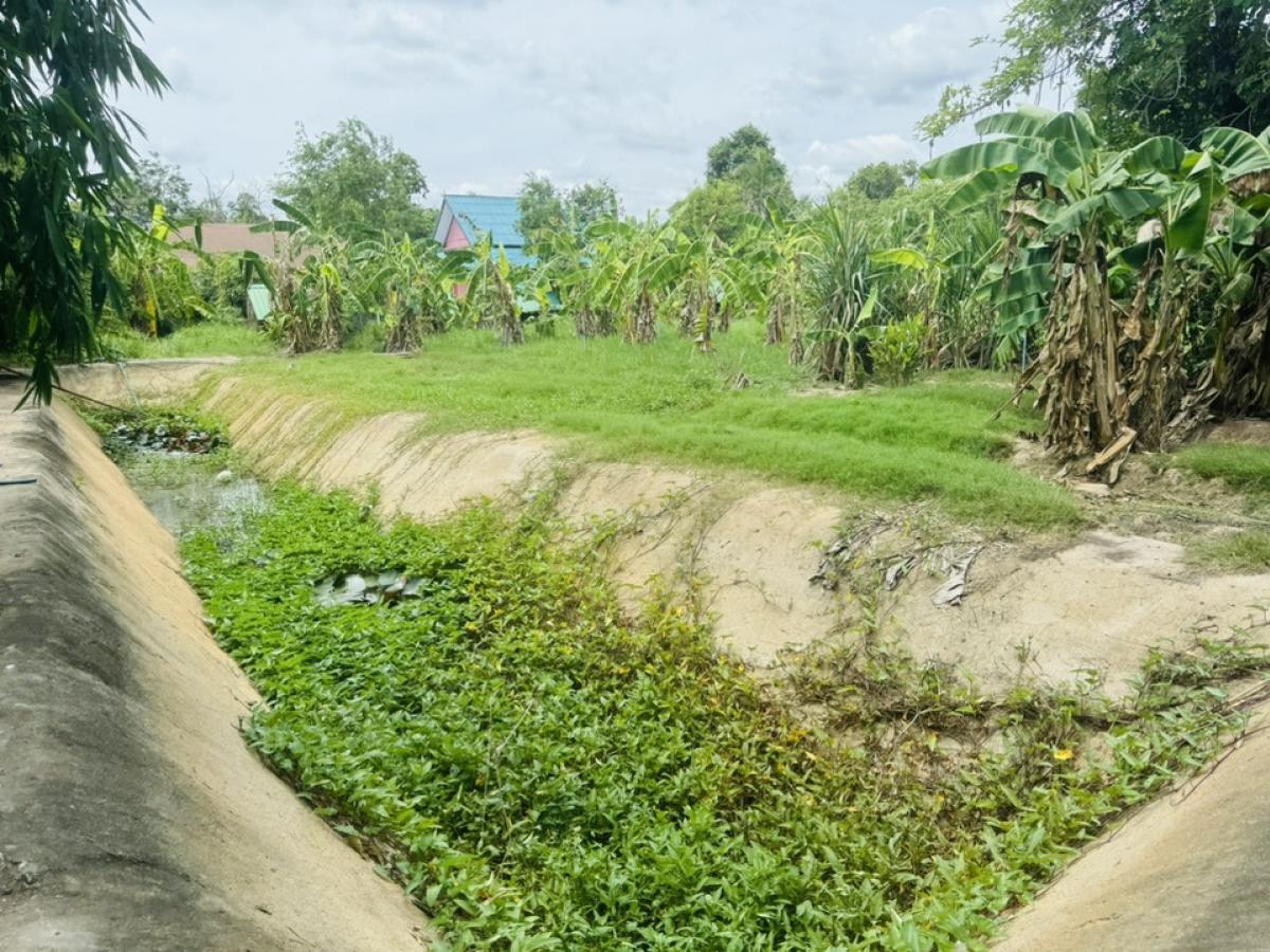 ขายที่ดินโคราช นครราชสีมา : ที่ดินลดราคาถูกมาก ใกล้โรงเรียนวัดสว่างอารมณ์ ต.โคกสูง จ.นครราชสีมา