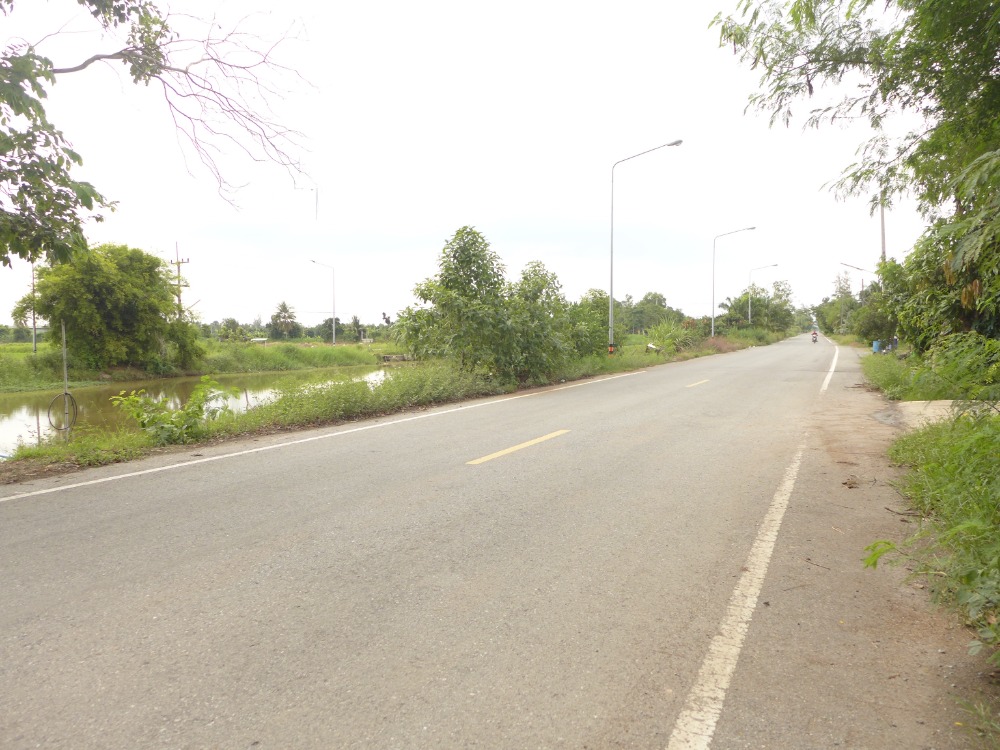 ขายที่ดินปทุมธานี รังสิต ธรรมศาสตร์ : ที่ดินสวย เลียบคลอง 12 ติดถนนลาดยาง