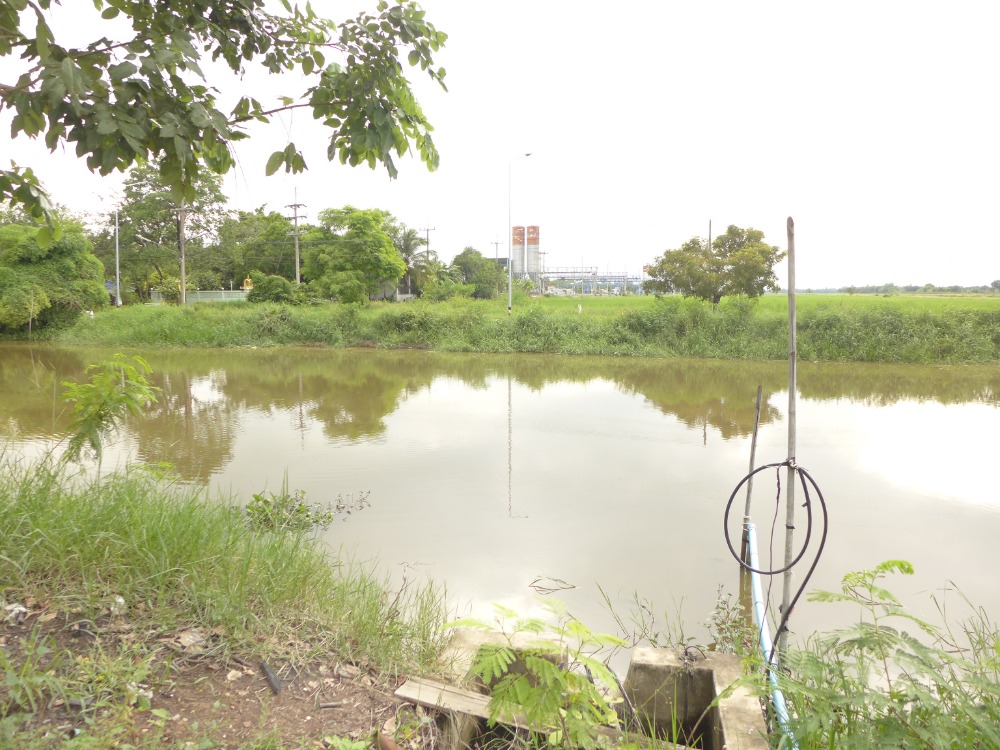 ขายที่ดินปทุมธานี รังสิต ธรรมศาสตร์ : ที่ดินสวย เลียบคลอง 12 ติดถนนลาดยาง