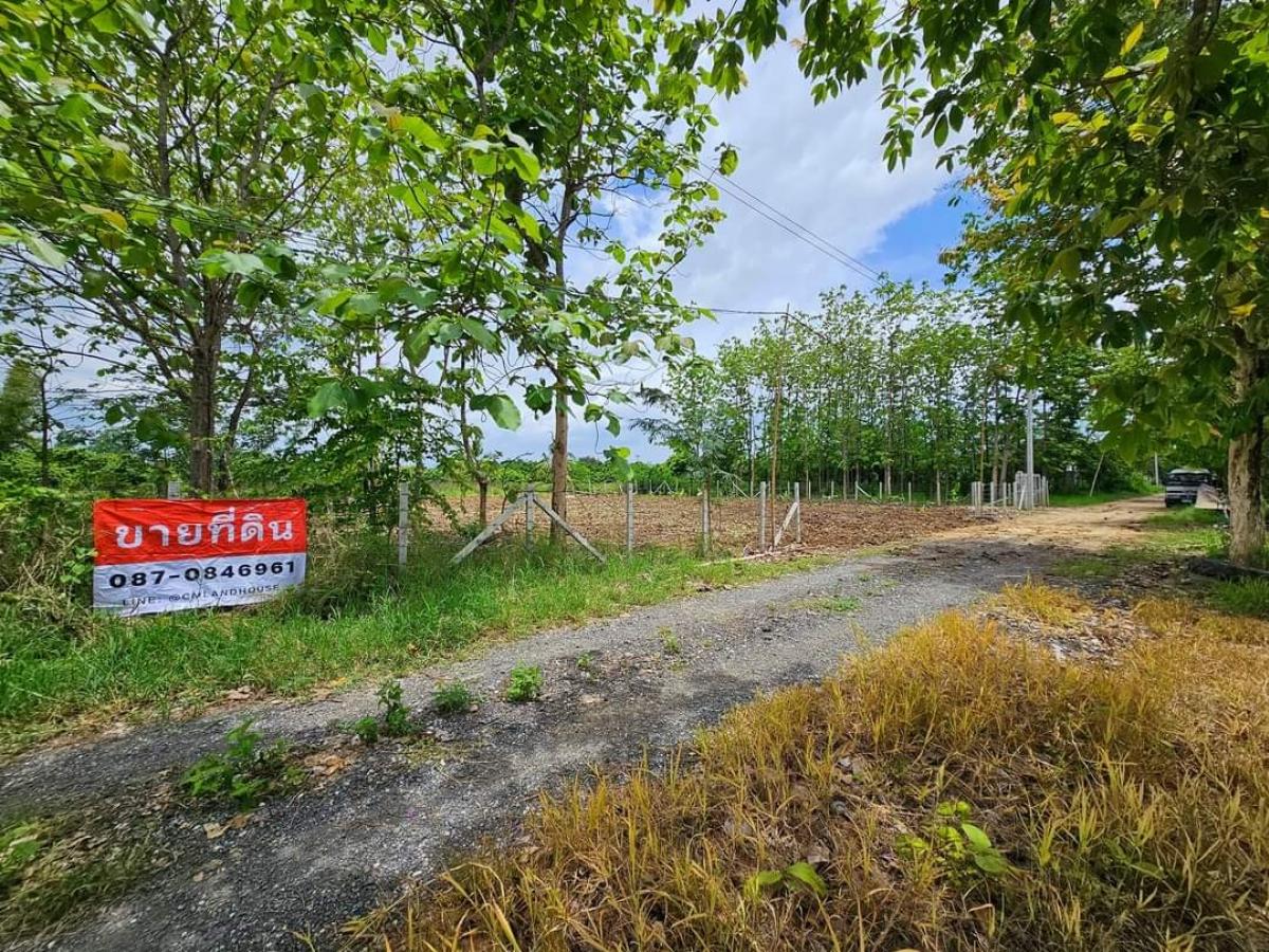 For SaleLandChiang Mai : Land in San Kamphaeng District for sale, cheap at 6,000/square wa, with water, electricity, public road, in the middle of a community.