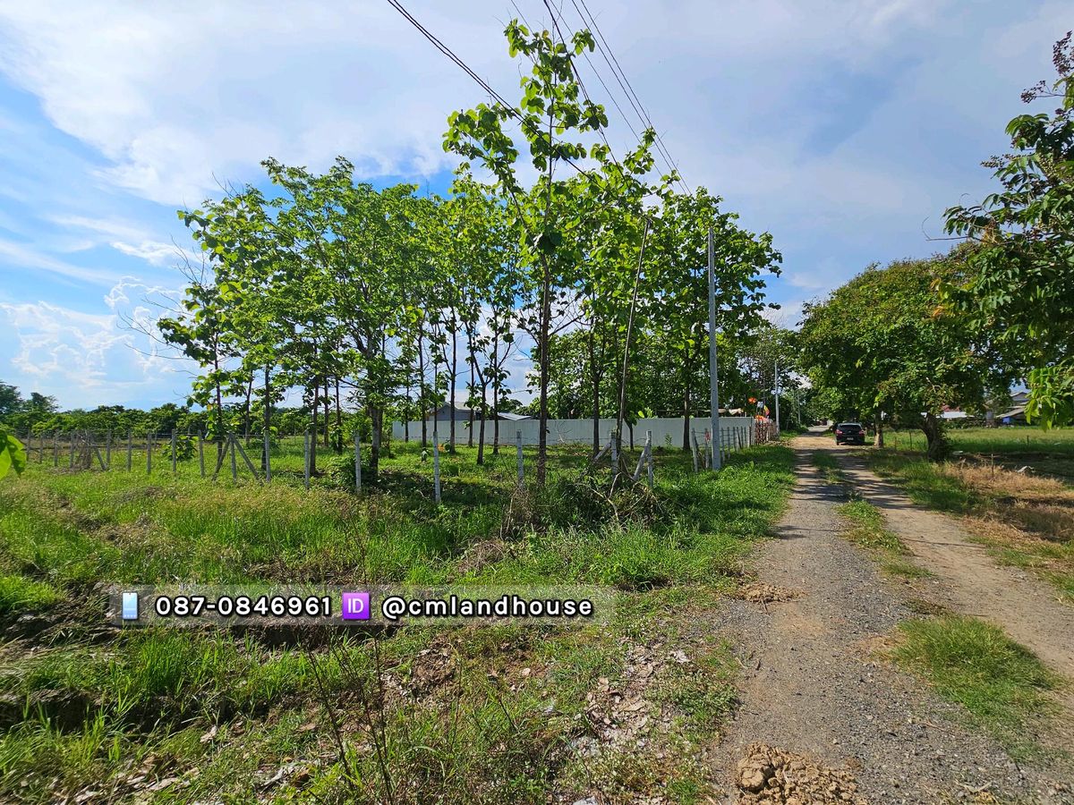 ขายที่ดินเชียงใหม่ : ที่ดิน วิวดอย วิวนา อ.สันกำแพง ขายถูก 6,250/ตรว. มีน้ำไฟ ถนนสาธารณะ อยู่กลางชุมชน
