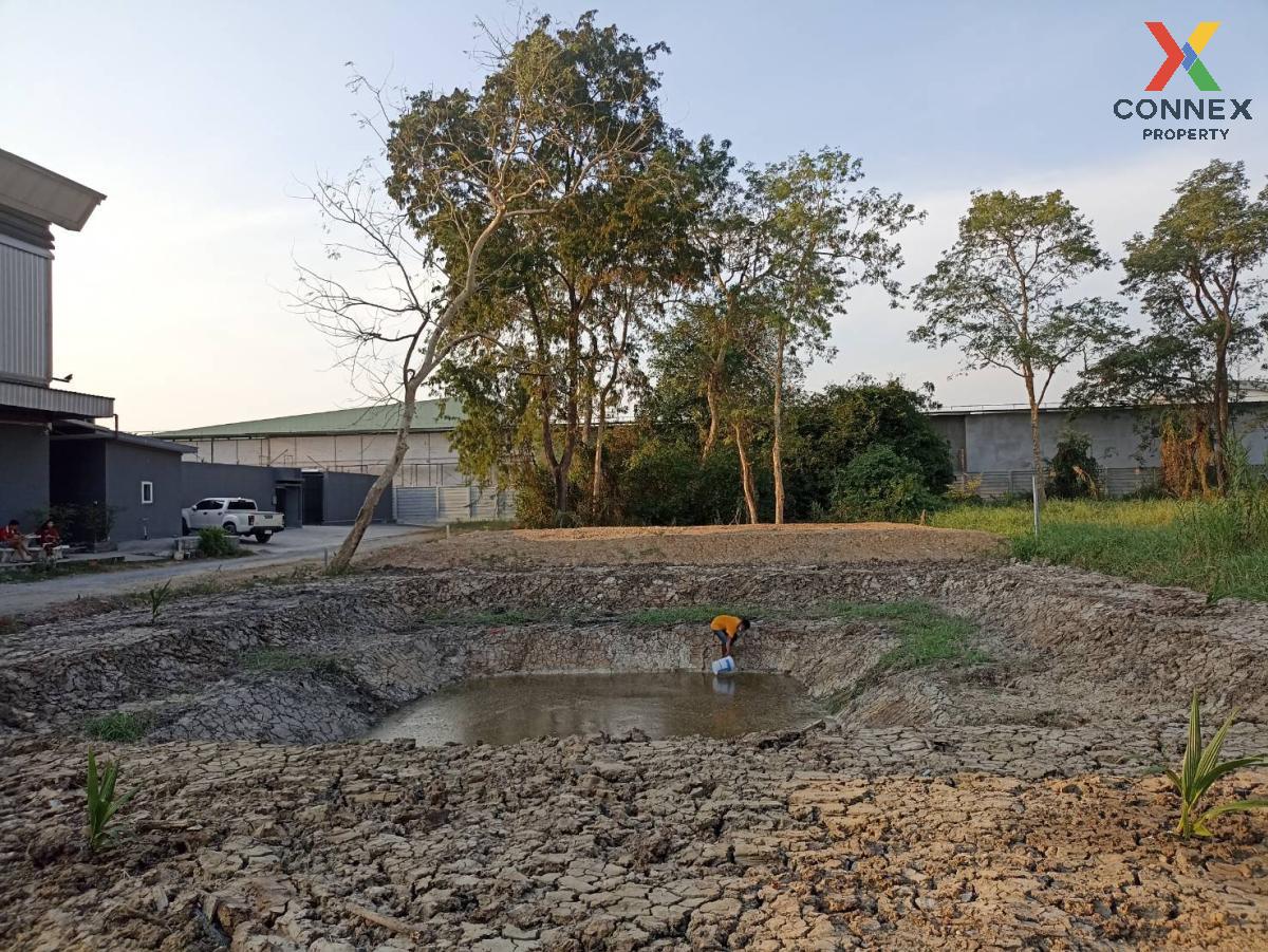 For SaleLandNonthaburi, Bang Yai, Bangbuathong : For Sale land 121 square wah, Soi Wat Phra Ngoen. , Bang Muang , Bang Yai , Nonthaburi , CX-97258