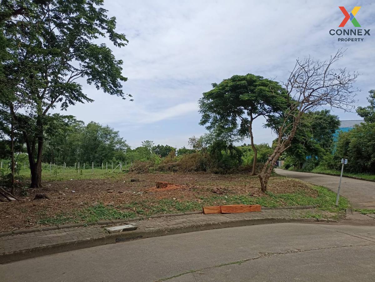 For SaleLandPathum Thani,Rangsit, Thammasat : For Sale Land , Sivalee Rangsit 1 , Pracha Thipat , Thanyaburi , Pathum Thani , CX-97263