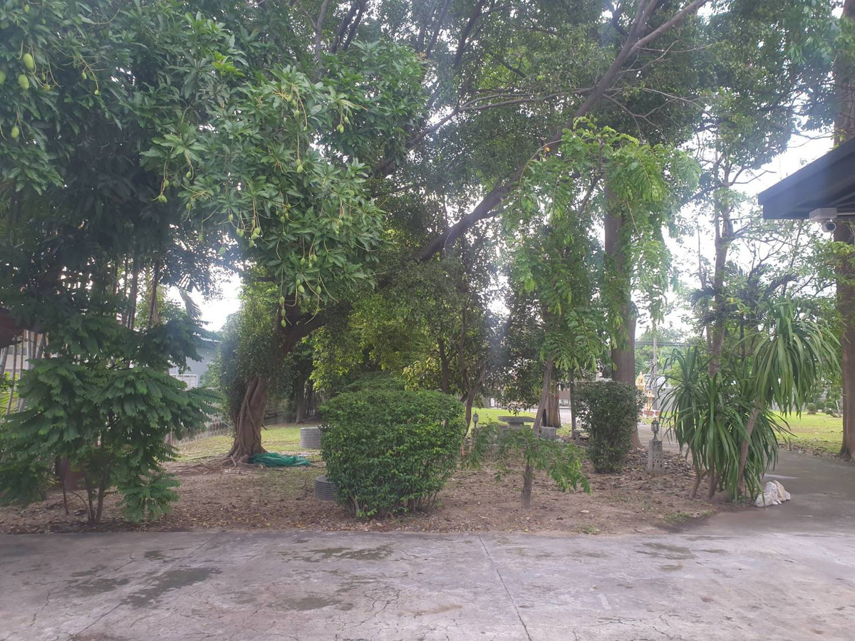 For SaleHouseChaengwatana, Muangthong : Single house for sale Near The Mall Ngamwongwan Soi Ngamwongwan 23, Prime location in Nonthaburi, near the main road, size 595 sq wa.