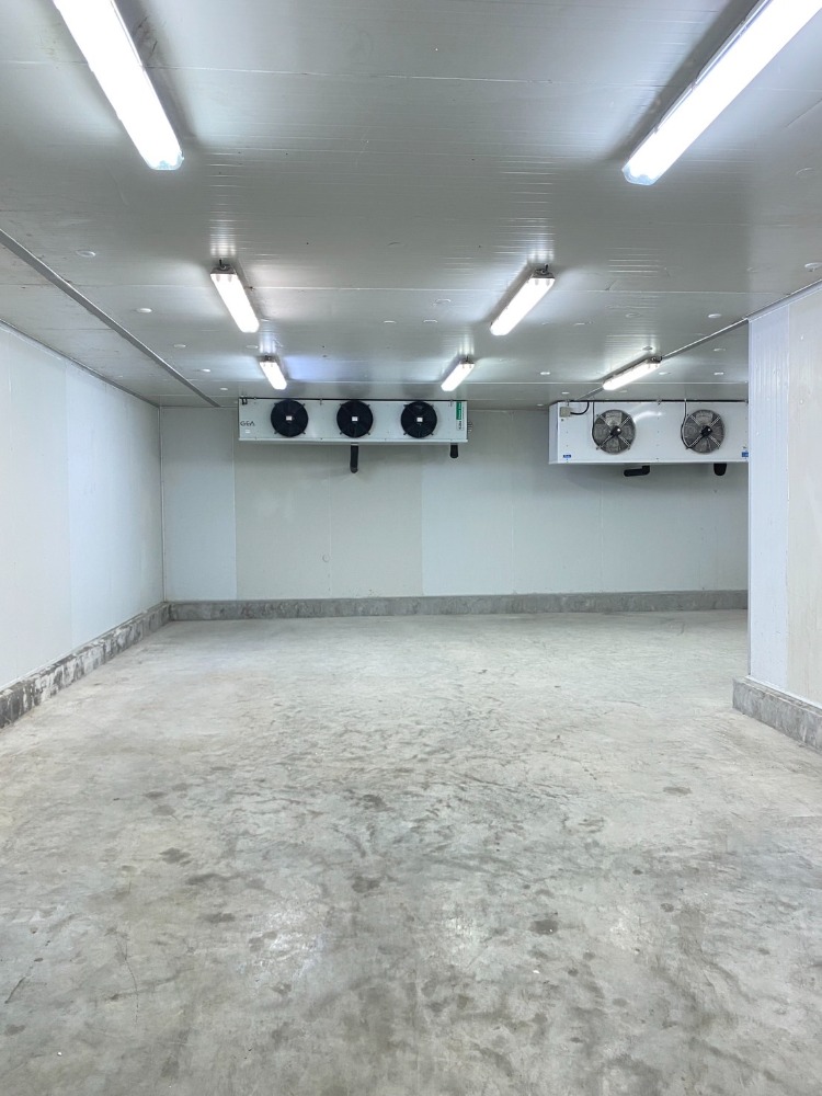 ให้เช่าโกดังพระราม 2 บางขุนเทียน : ให้เช่า..โกดังห้องเย็นอุณหภูมิได้ต่ำสุดถึงติดลบ -25องศา ซอยเทียนทะเล 26 แยก 2 ถนนบางขุนเทียน-ชายทะเล ขนาด 45 ตรม