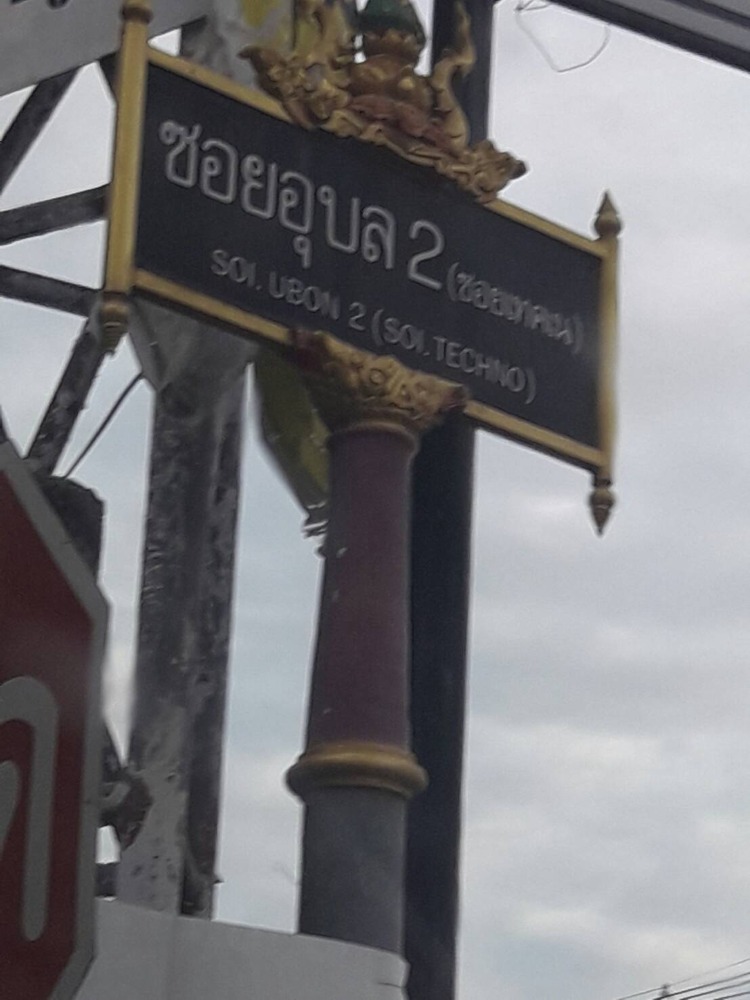 ขายที่ดินอุบลราชธานี : ขายที่ดิน อุบล 700000 บาท 65 ตรว