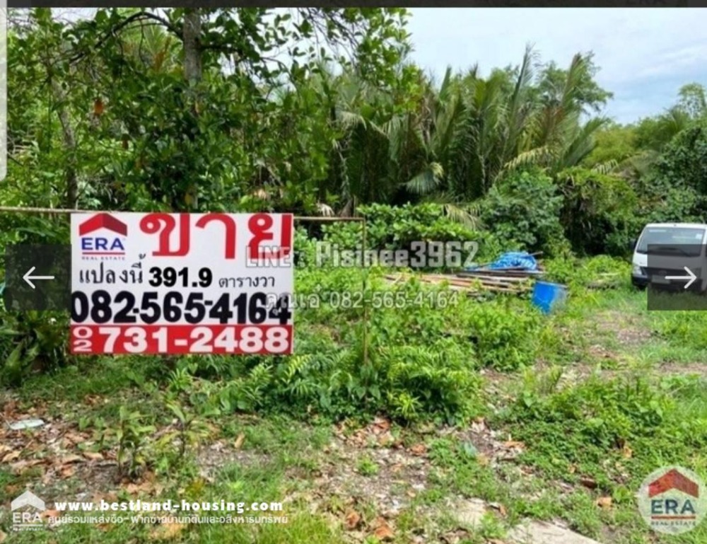 For SaleLandRathburana, Suksawat : Empty land 391.9 square wah, land is in the green area (pork stomach) Bang Kachao - Phra Pradaeng.