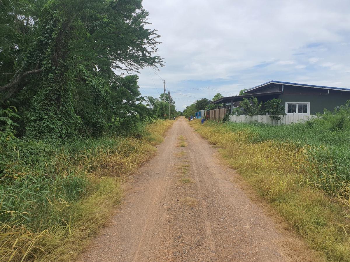 ขายที่ดินปทุมธานี รังสิต ธรรมศาสตร์ : 🔥🔥ขายที่ดิน ซอยคลองหกตะวันออก 76 (ซอยสุขใจ) ต.คลองหก อ.คลองหลวง จ.ปทุมธานี💚 Line/Tel.085-484-8586❤️ขนาด 1 ไร่ 2 งาน หน้ากว้าง 126 เมตร ลึก 18 เมตร 🔥ราคา 2.7 ล้านบาท เท่านั้น!! (ค่าโอนคนละครึ่ง)🔥ที่ดินหันทิศใต้❤️ที่ดิน เข้ามาจากต้นซอยคลองหกตะวันออก 76 (ซอย