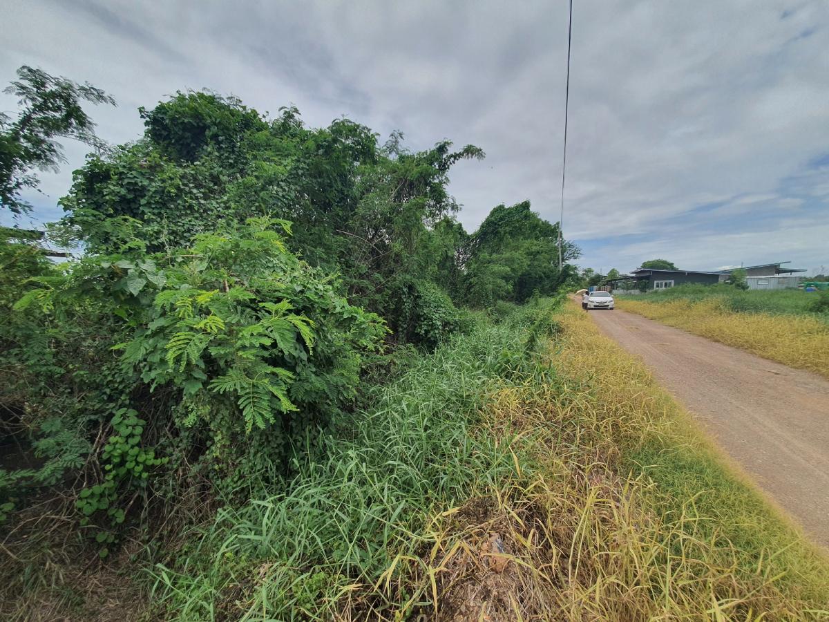 ขายที่ดินปทุมธานี รังสิต ธรรมศาสตร์ : 🔥🔥ขายที่ดิน ซอยคลองหกตะวันออก 76 (ซอยสุขใจ) ต.คลองหก อ.คลองหลวง จ.ปทุมธานี💚 Line/Tel.085-484-8586❤️ขนาด 1 ไร่ 2 งาน หน้ากว้าง 126 เมตร ลึก 18 เมตร 🔥ราคา 2.7 ล้านบาท เท่านั้น!! (ค่าโอนคนละครึ่ง)🔥ที่ดินหันทิศใต้❤️ที่ดิน เข้ามาจากต้นซอยคลองหกตะวันออก 76 (ซอย