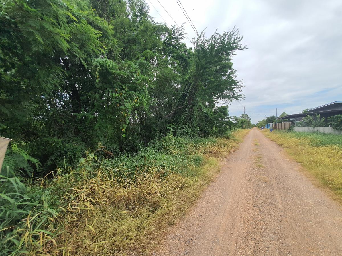 For SaleLandPathum Thani,Rangsit, Thammasat : 🔥🔥Land for sale, Soi Khlong Hok Tawan Ok 76 (Soi Sukjai), Khlong Hok Subdistrict, Khlong Luang District, Pathum Thani Province💚 Line/Tel.085-484-8586❤️Size 1 rai 2 ngan, width 126 meters, depth 18 meters 🔥Price 2.7 million baht only!! (Transfer fee, half 