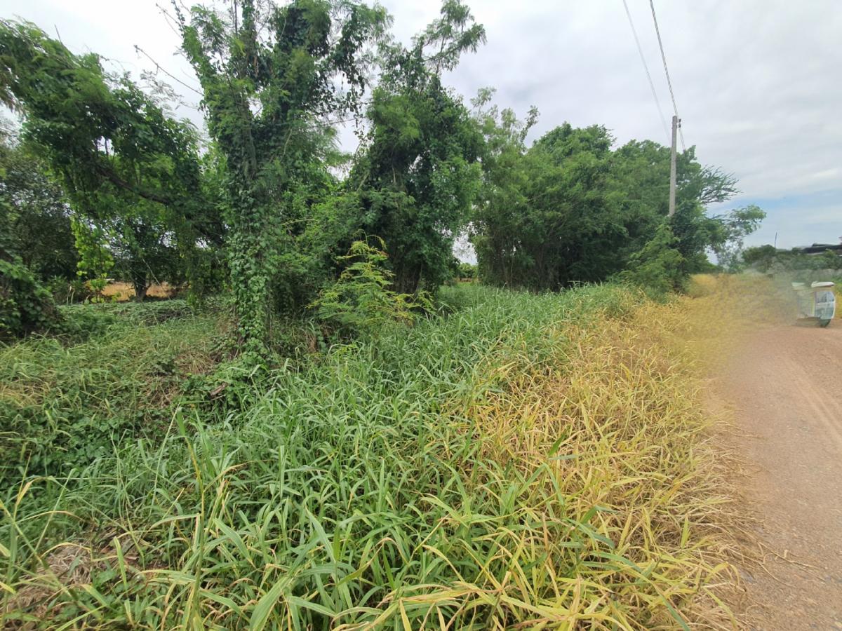 ขายที่ดินปทุมธานี รังสิต ธรรมศาสตร์ : 🔥🔥ขายที่ดิน ซอยคลองหกตะวันออก 76 (ซอยสุขใจ) ต.คลองหก อ.คลองหลวง จ.ปทุมธานี💚 Line/Tel.085-484-8586❤️ขนาด 1 ไร่ 2 งาน หน้ากว้าง 126 เมตร ลึก 18 เมตร 🔥ราคา 2.7 ล้านบาท เท่านั้น!! (ค่าโอนคนละครึ่ง)🔥ที่ดินหันทิศใต้❤️ที่ดิน เข้ามาจากต้นซอยคลองหกตะวันออก 76 (ซอย