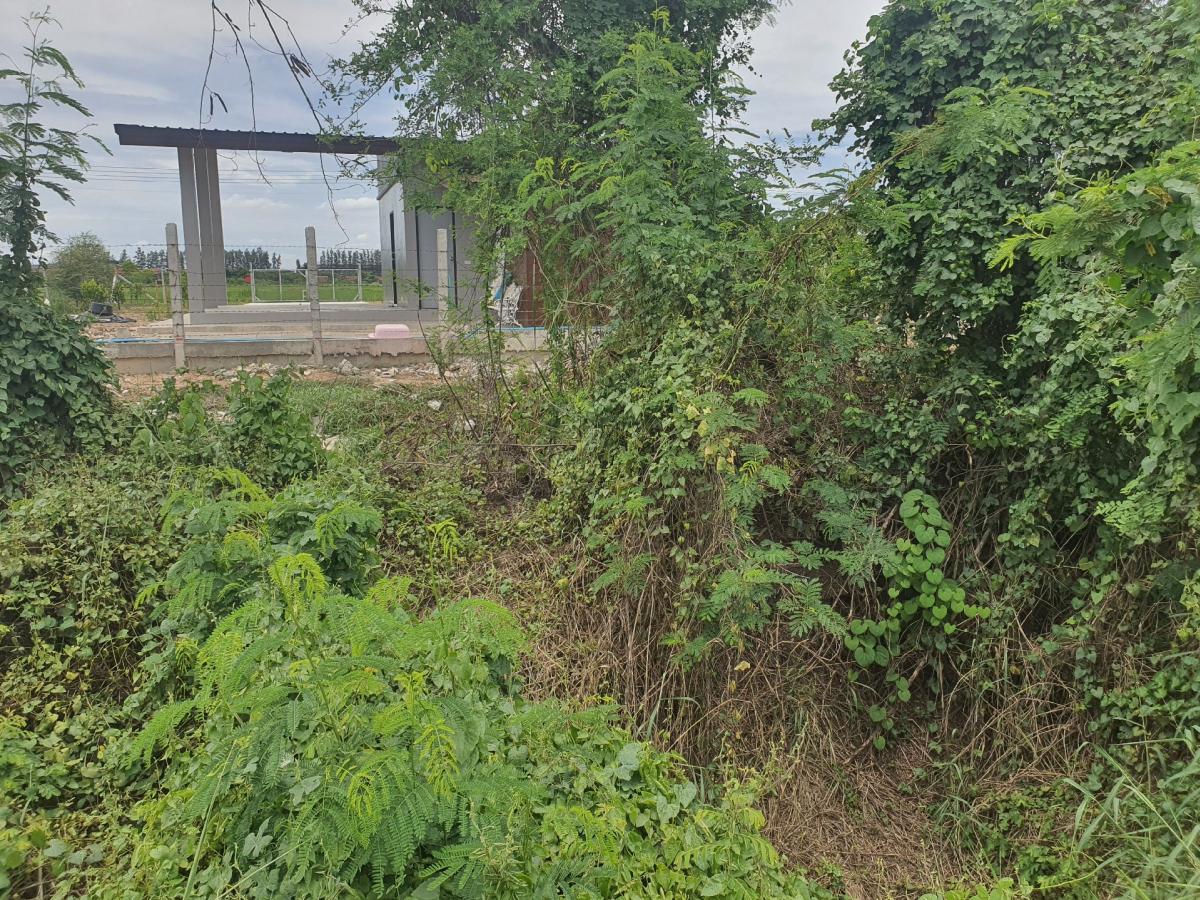 ขายที่ดินปทุมธานี รังสิต ธรรมศาสตร์ : 🔥🔥ขายที่ดิน ซอยคลองหกตะวันออก 76 (ซอยสุขใจ) ต.คลองหก อ.คลองหลวง จ.ปทุมธานี💚 Line/Tel.085-484-8586❤️ขนาด 1 ไร่ 2 งาน หน้ากว้าง 126 เมตร ลึก 18 เมตร 🔥ราคา 2.7 ล้านบาท เท่านั้น!! (ค่าโอนคนละครึ่ง)🔥ที่ดินหันทิศใต้❤️ที่ดิน เข้ามาจากต้นซอยคลองหกตะวันออก 76 (ซอย