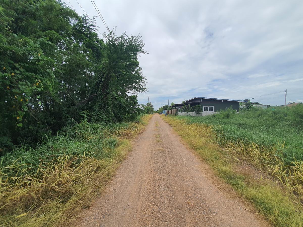 ขายที่ดินปทุมธานี รังสิต ธรรมศาสตร์ : 🔥🔥ขายที่ดิน ซอยคลองหกตะวันออก 76 (ซอยสุขใจ) ต.คลองหก อ.คลองหลวง จ.ปทุมธานี💚 Line/Tel.085-484-8586❤️ขนาด 1 ไร่ 2 งาน หน้ากว้าง 126 เมตร ลึก 18 เมตร 🔥ราคา 2.7 ล้านบาท เท่านั้น!! (ค่าโอนคนละครึ่ง)🔥ที่ดินหันทิศใต้❤️ที่ดิน เข้ามาจากต้นซอยคลองหกตะวันออก 76 (ซอย