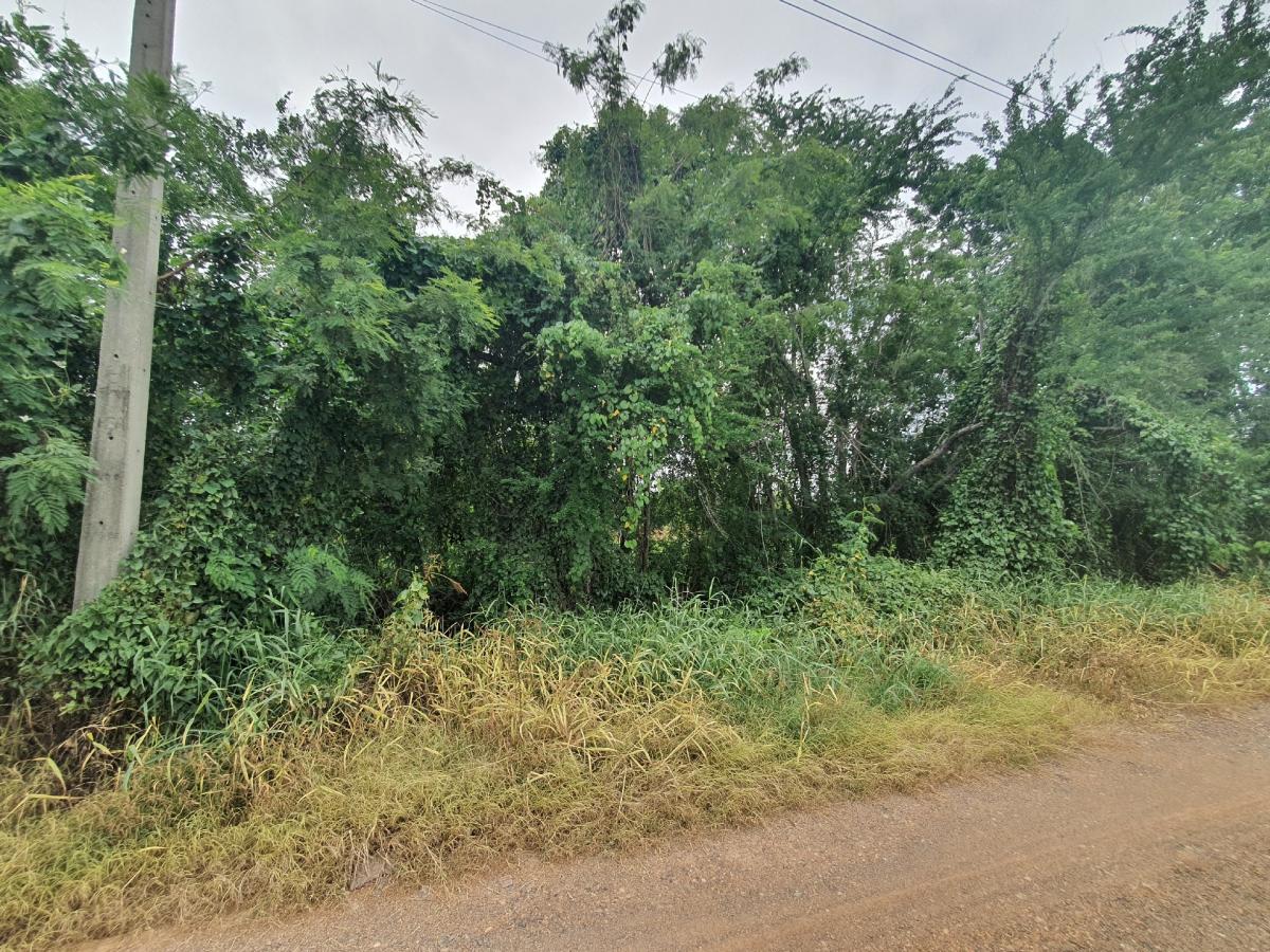 ขายที่ดินปทุมธานี รังสิต ธรรมศาสตร์ : 🔥🔥ขายที่ดิน ซอยคลองหกตะวันออก 76 (ซอยสุขใจ) ต.คลองหก อ.คลองหลวง จ.ปทุมธานี💚 Line/Tel.085-484-8586❤️ขนาด 1 ไร่ 2 งาน หน้ากว้าง 126 เมตร ลึก 18 เมตร 🔥ราคา 2.7 ล้านบาท เท่านั้น!! (ค่าโอนคนละครึ่ง)🔥ที่ดินหันทิศใต้❤️ที่ดิน เข้ามาจากต้นซอยคลองหกตะวันออก 76 (ซอย