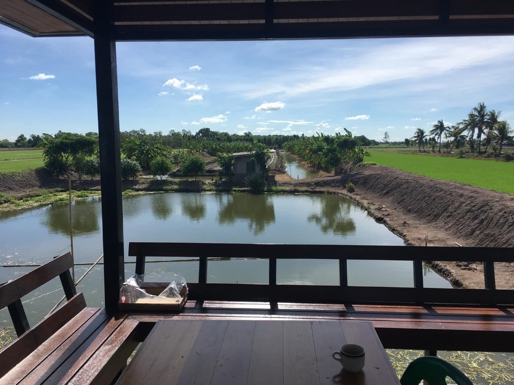 ขายบ้านสุพรรณบุรี : ขายบ้านเดี่ยวชั้นเดียวพร้อมที่ดิน 10 ไร่ จ.สุพรรณบุรี (S03-0713)