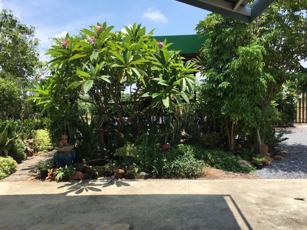 ขายบ้านสุพรรณบุรี : ขายบ้านเดี่ยวชั้นเดียวพร้อมที่ดิน 10 ไร่ จ.สุพรรณบุรี (S03-0713)