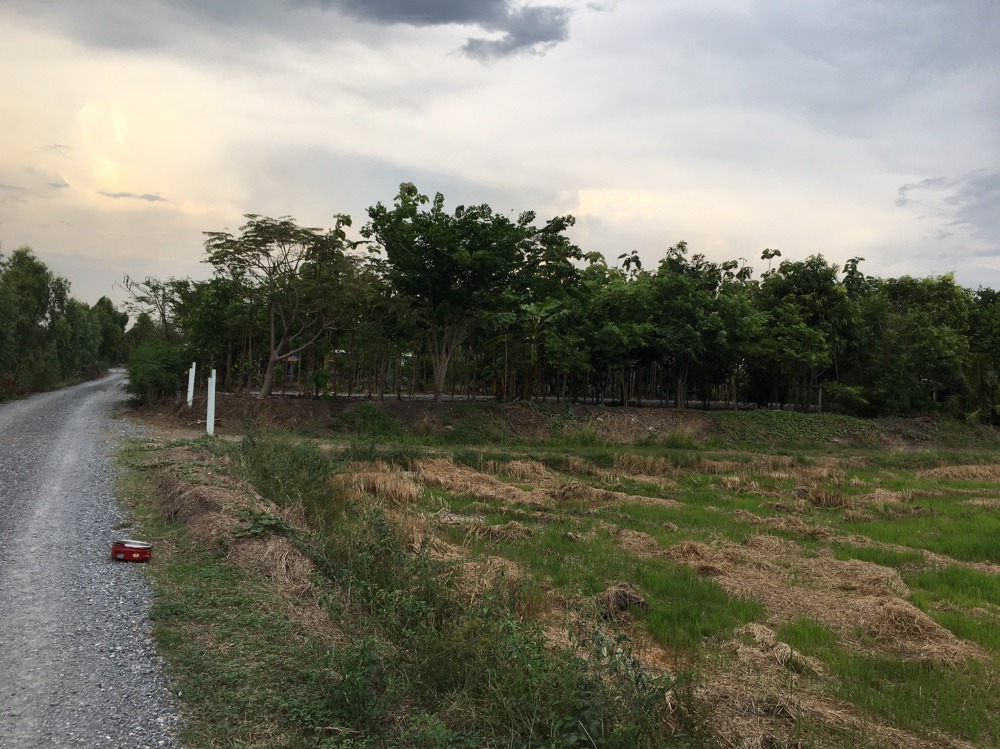 ขายบ้านสุพรรณบุรี : ขายบ้านเดี่ยวชั้นเดียวพร้อมที่ดิน 10 ไร่ จ.สุพรรณบุรี (S03-0713)