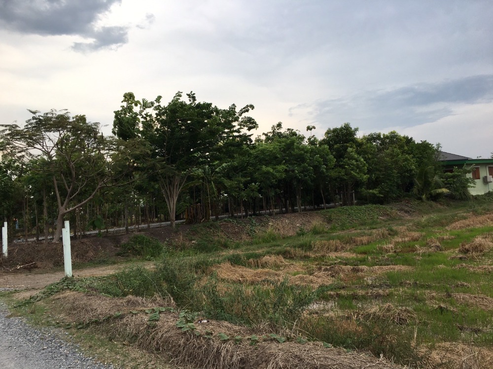 ขายบ้านสุพรรณบุรี : ขายบ้านเดี่ยวชั้นเดียวพร้อมที่ดิน 10 ไร่ จ.สุพรรณบุรี (S03-0713)