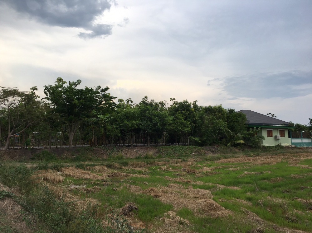 ขายบ้านสุพรรณบุรี : ขายบ้านเดี่ยวชั้นเดียวพร้อมที่ดิน 10 ไร่ จ.สุพรรณบุรี (S03-0713)