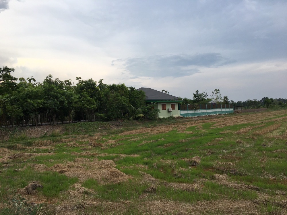 ขายบ้านสุพรรณบุรี : ขายบ้านเดี่ยวชั้นเดียวพร้อมที่ดิน 10 ไร่ จ.สุพรรณบุรี (S03-0713)