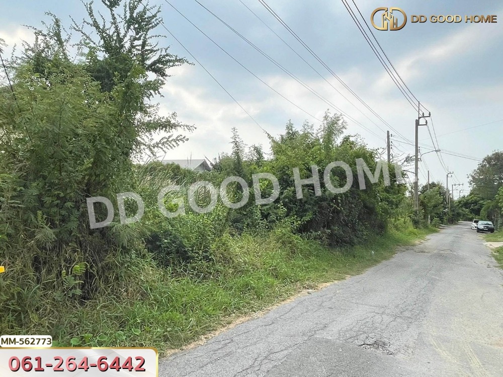 ขายที่ดินพุทธมณฑล ศาลายา : ที่ดิน พุทธมณฑลสาย 3 ทวีวัฒนา 114 ตร.ว.