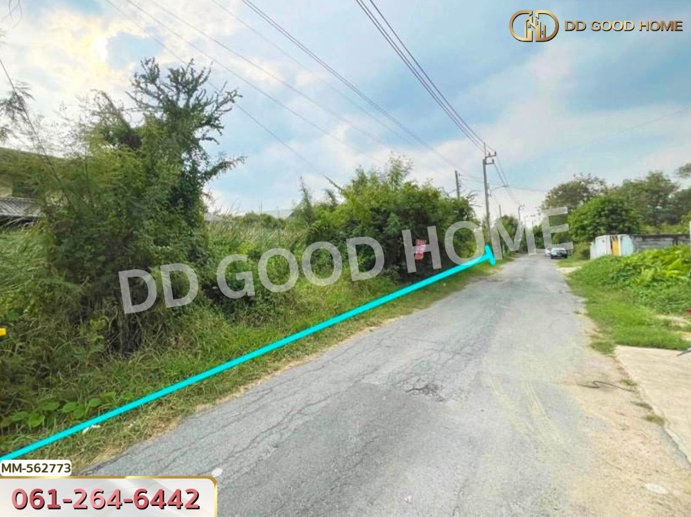 ขายที่ดินพุทธมณฑล ศาลายา : ที่ดิน พุทธมณฑลสาย 3 ทวีวัฒนา 114 ตร.ว.