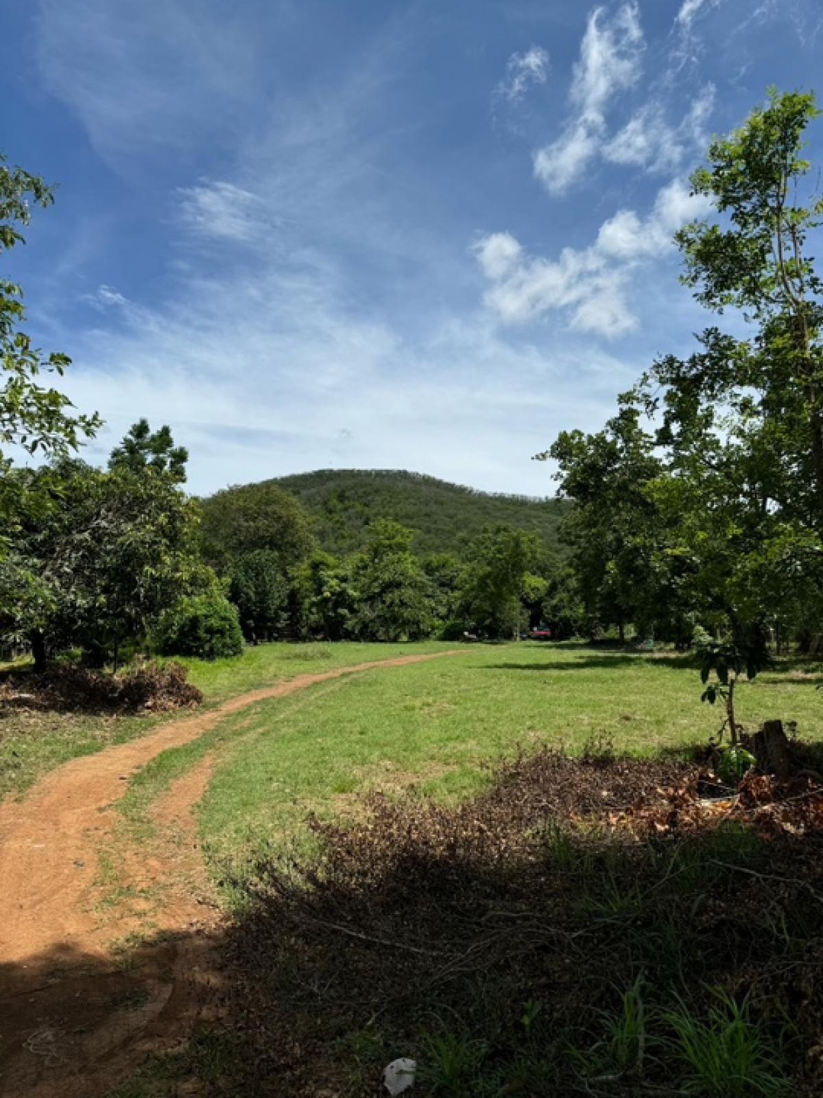 For SaleLandPak Chong KhaoYai : Land for sale in Pak Chong Subdistrict, Pak Chong District, near Pak Chong Highland Golf Driving Range.