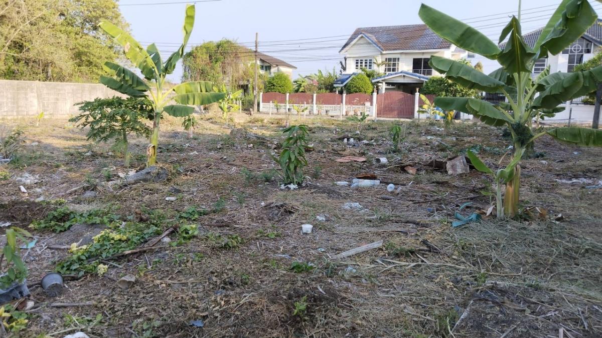 For SaleLandLadkrabang, Suwannaphum Airport : 📣📣📣Land for sale 154 square wah, beautiful plot, lakeside, Khum Klao, Lat Krabang 📣📣📣