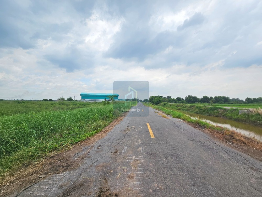 ขายที่ดินปทุมธานี รังสิต ธรรมศาสตร์ : ขาย ที่ดินเปล่า 20 ไร่ หน้ากว้าง คลองห้า ฝั่งตะวันออก คลองหลวง ปทุมธานี ใกล้ทางหลวงอยุธยา