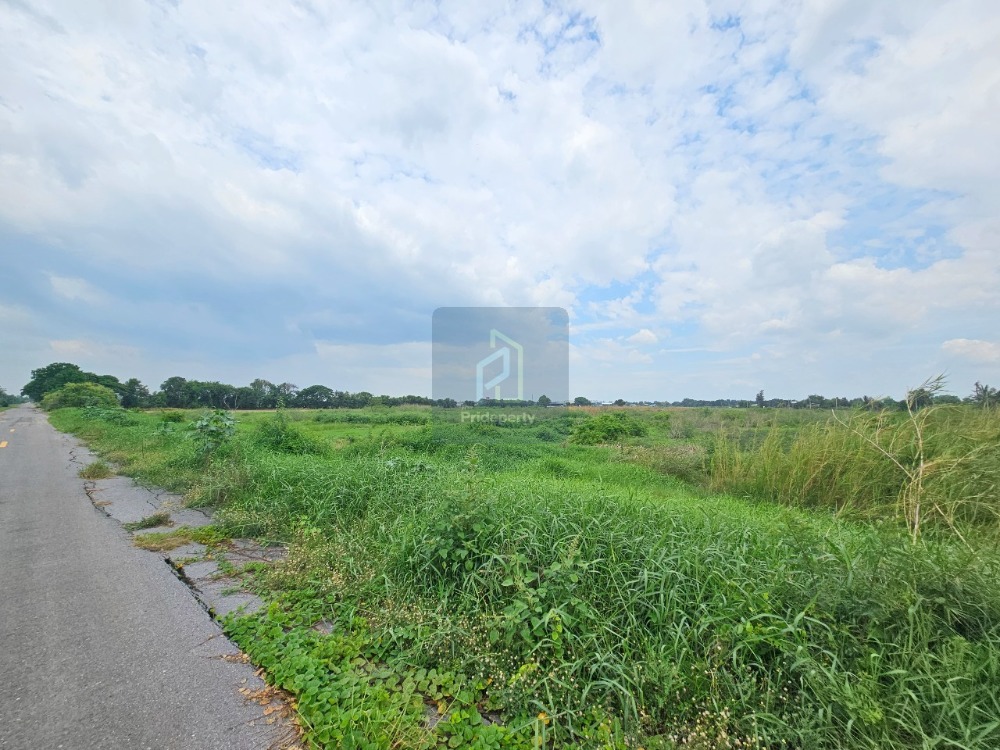 ขายที่ดินปทุมธานี รังสิต ธรรมศาสตร์ : ขาย ที่ดินเปล่า 20 ไร่ หน้ากว้าง คลองห้า ฝั่งตะวันออก คลองหลวง ปทุมธานี ใกล้ทางหลวงอยุธยา