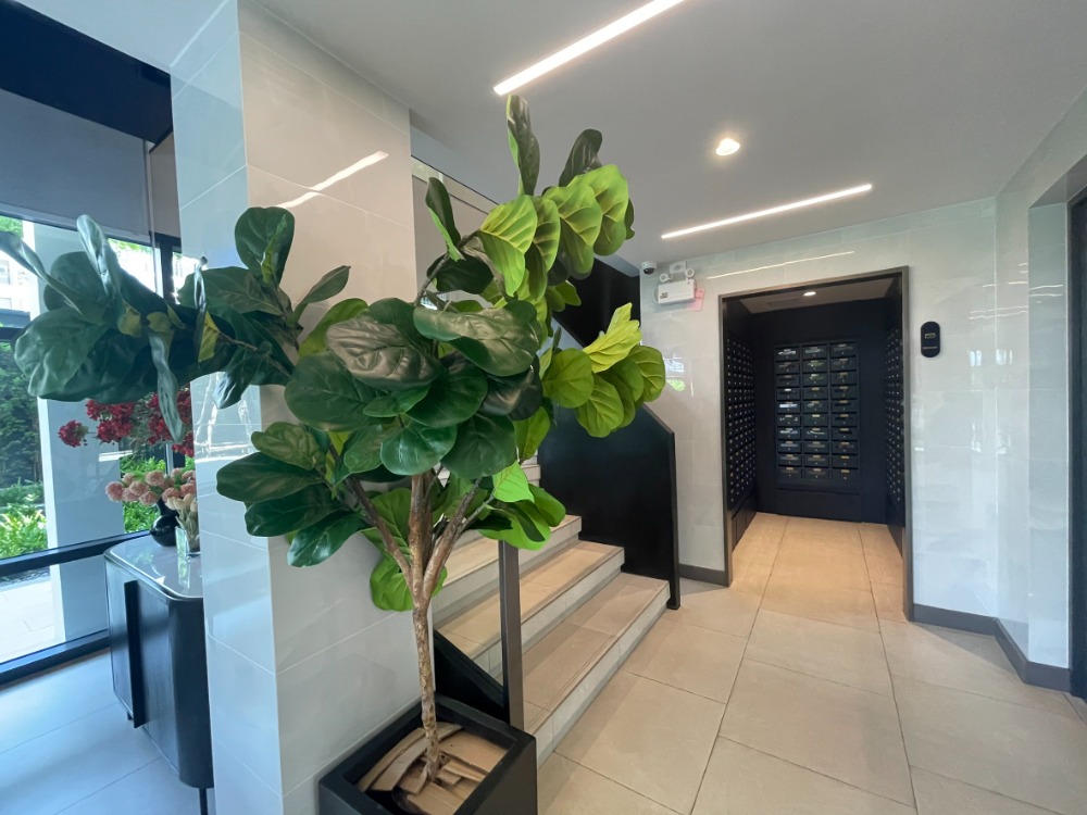 ให้เช่าคอนโดบางนา แบริ่ง ลาซาล : ให้เช่า BLUE สุขุมวิท 105 ห้องใหม่  สะดวกสบายพร้อมย้ายเข้าอยู่ได้ทันที  