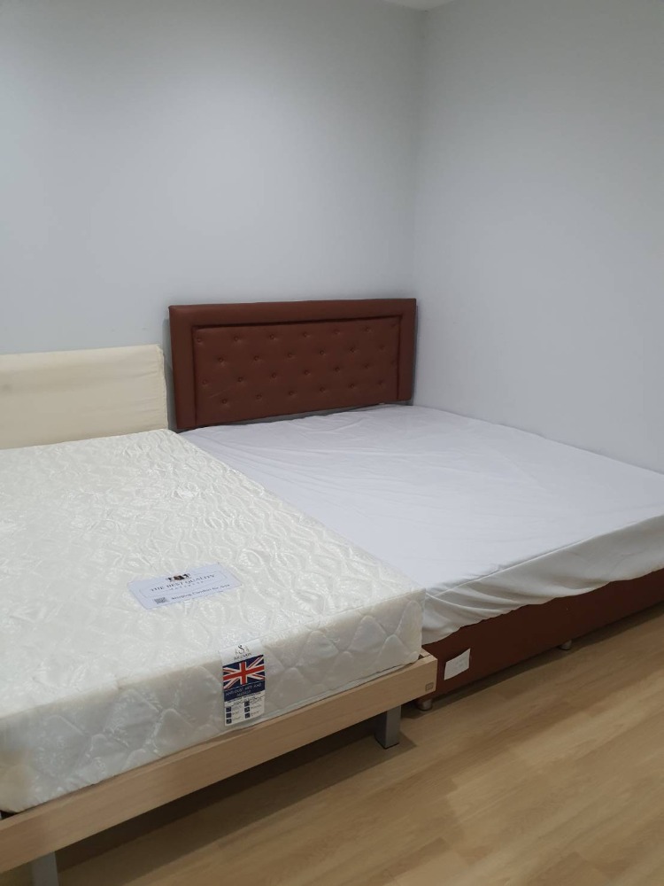 ให้เช่าทาวน์โฮมบางนา แบริ่ง ลาซาล : ให้เช่าทาวโฮม 3 ชั้น ไอฟีล-บางนา พื้นที่ 200 ตรม. 22 ตรว. ทำเลดี เฟอร์นิเจอร์และเครื่องใช้ไฟฟ้าครบ ราคา 28,000 บาท