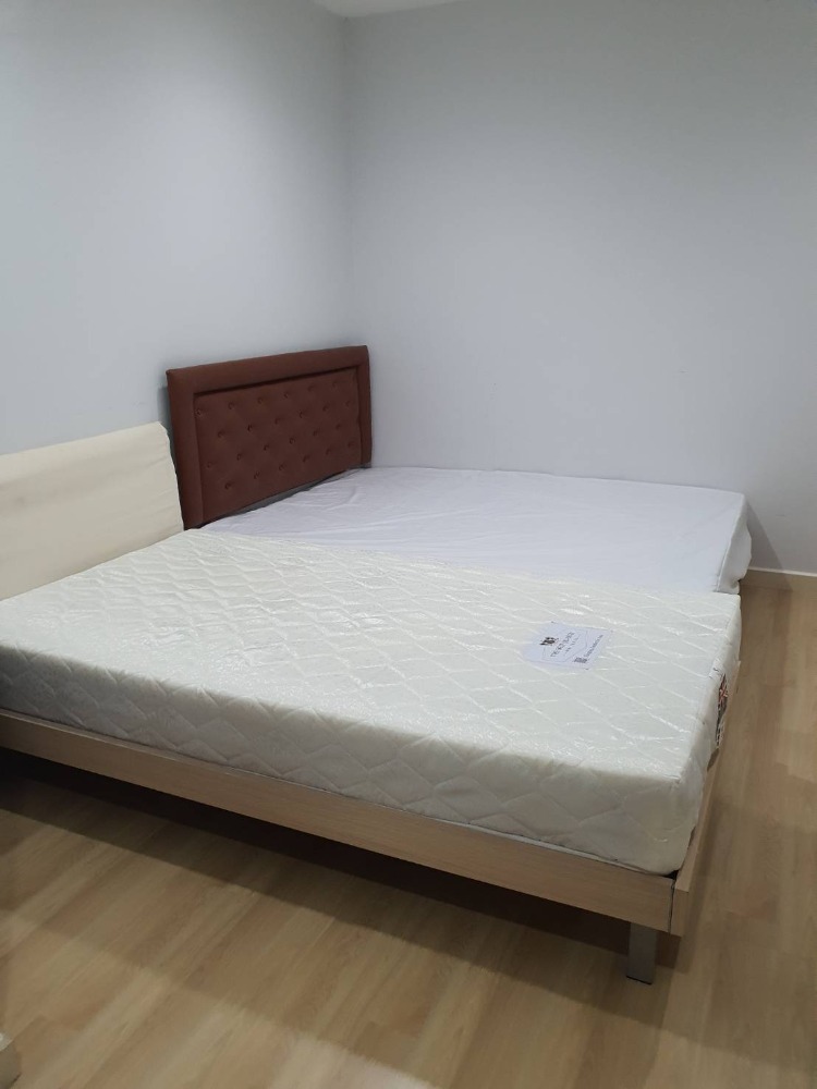 ให้เช่าทาวน์โฮมบางนา แบริ่ง ลาซาล : ให้เช่าทาวโฮม 3 ชั้น ไอฟีล-บางนา พื้นที่ 200 ตรม. 22 ตรว. ทำเลดี เฟอร์นิเจอร์และเครื่องใช้ไฟฟ้าครบ ราคา 28,000 บาท