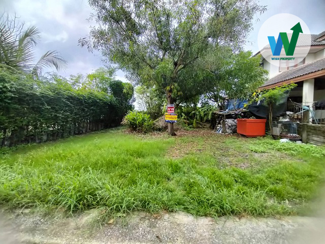 For SaleLandPathum Thani,Rangsit, Thammasat : Urgent sale, empty land, Baan Suan Resort. Next to the road along Khlong Ha