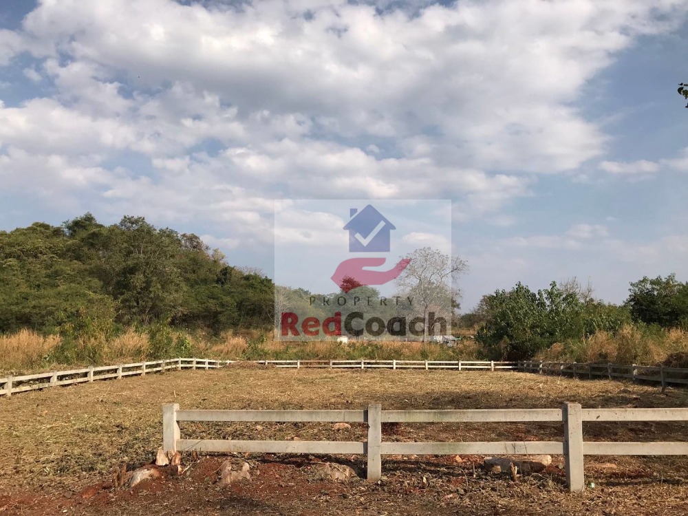 ขายที่ดินปากช่อง เขาใหญ่ : ขายที่ดินจัดสรรแปลงสวย 217ตารางวา โครงการภาตะวัน เขาใหญ่,ถูกสุดในโครงการฯ