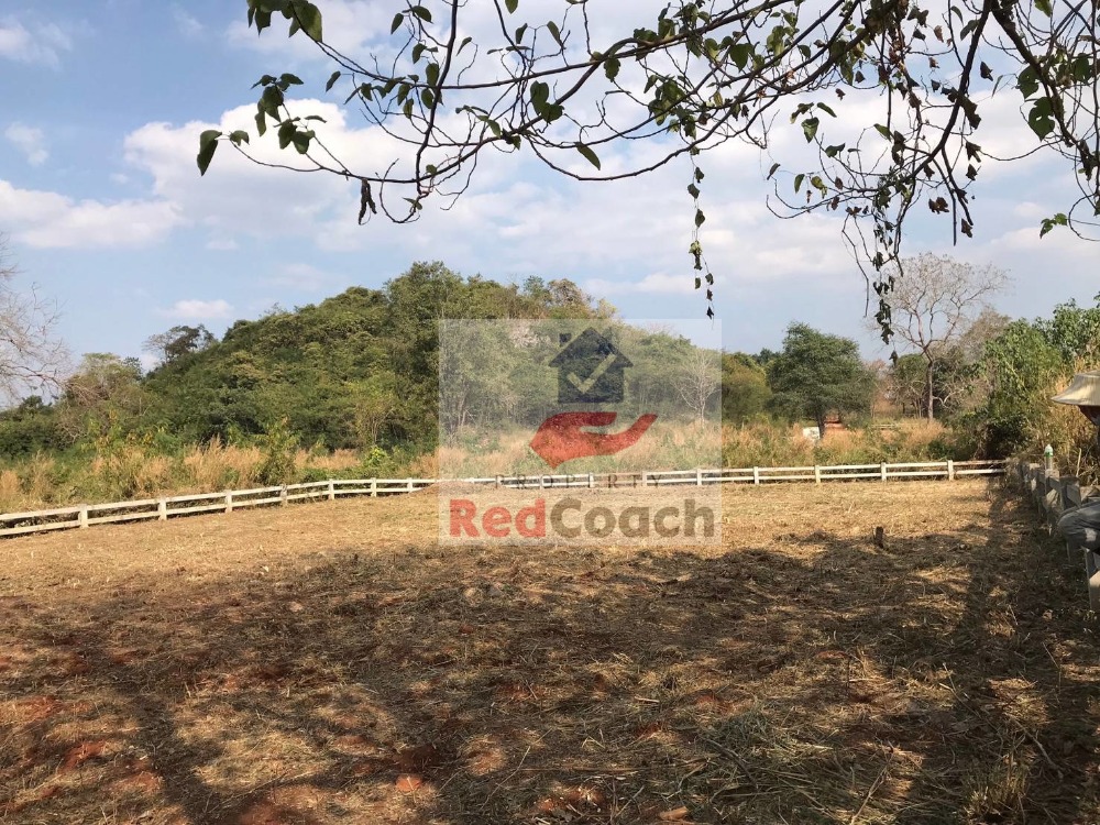 ขายที่ดินปากช่อง เขาใหญ่ : ขายที่ดินจัดสรรแปลงสวย 217ตารางวา โครงการภาตะวัน เขาใหญ่,ถูกสุดในโครงการฯ