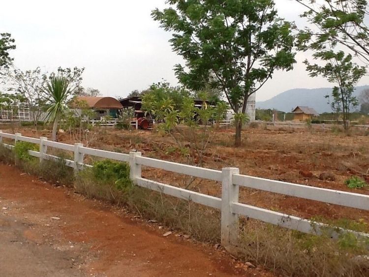 ขายที่ดินปากช่อง เขาใหญ่ : ขายที่ดินจัดสรรแปลงสวย 217ตารางวา โครงการภาตะวัน เขาใหญ่,ถูกสุดในโครงการฯ