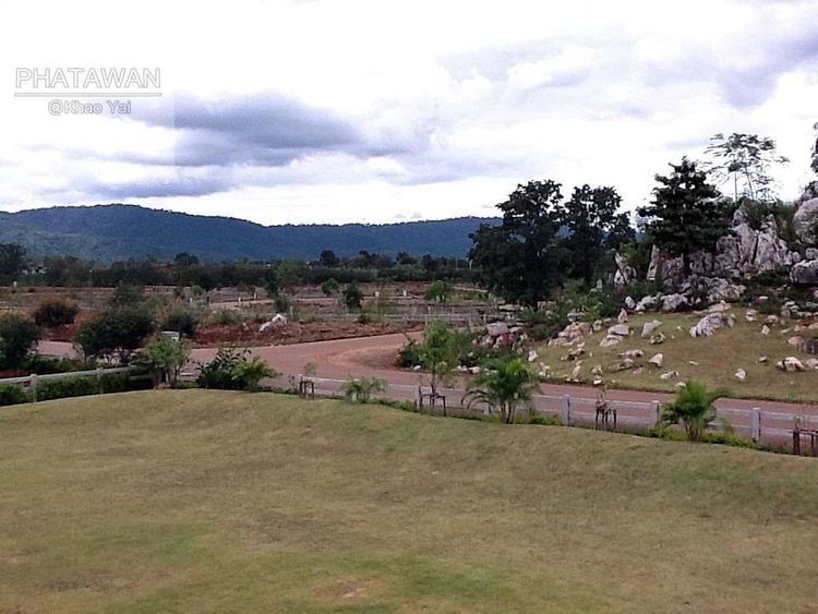 ขายที่ดินปากช่อง เขาใหญ่ : ขายที่ดินจัดสรรแปลงสวย 217ตารางวา โครงการภาตะวัน เขาใหญ่,ถูกสุดในโครงการฯ