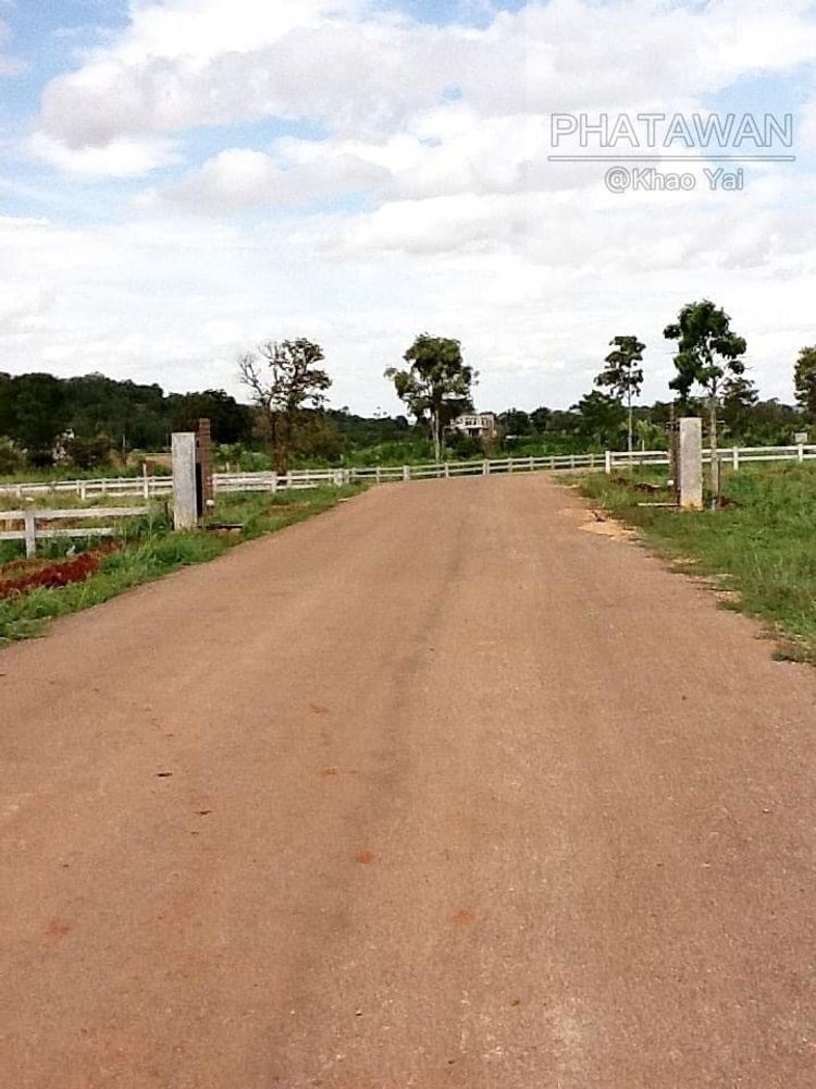 ขายที่ดินปากช่อง เขาใหญ่ : ขายที่ดินจัดสรรแปลงสวย 217ตารางวา โครงการภาตะวัน เขาใหญ่,ถูกสุดในโครงการฯ