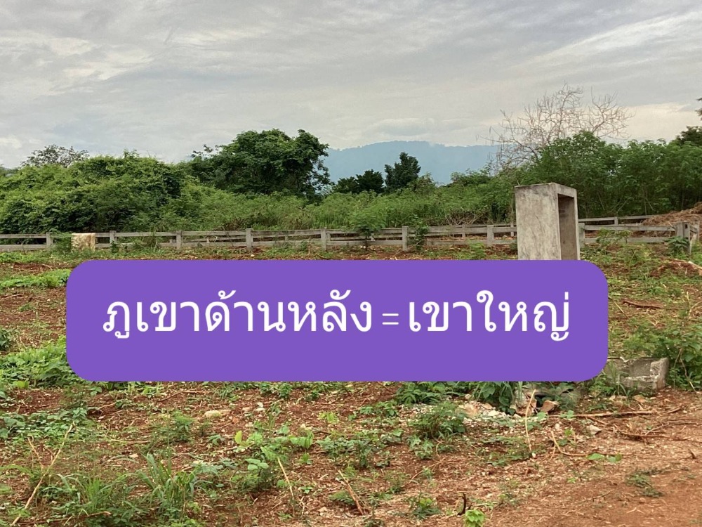 ขายที่ดินปากช่อง เขาใหญ่ : ขายที่ดินจัดสรรแปลงสวย 217ตารางวา โครงการภาตะวัน เขาใหญ่,ถูกสุดในโครงการฯ