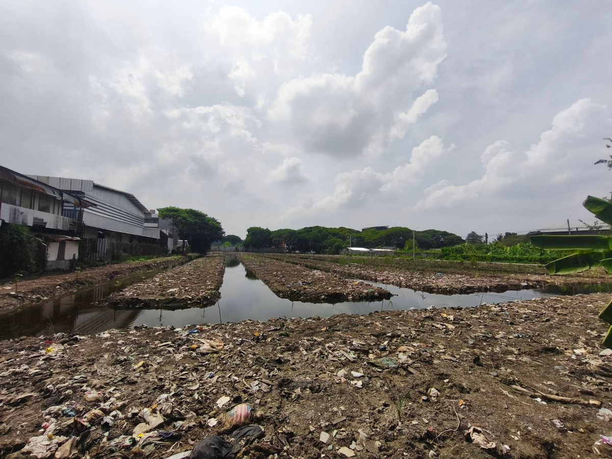 For SaleLandPattanakan, Srinakarin : Land for Sale in Soi Krung Thep Kritha 33