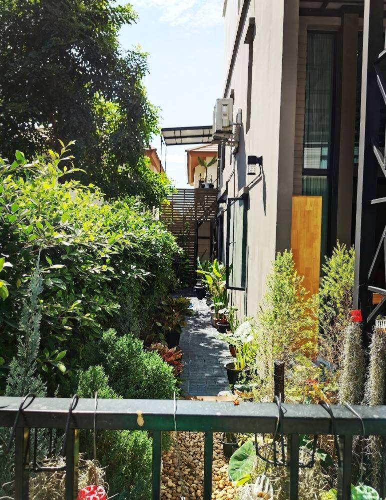 For SaleTownhomePattanakan, Srinakarin : Townhome for sale, 3.5 floors, Patio Pattanakarn 38 (N.1057)