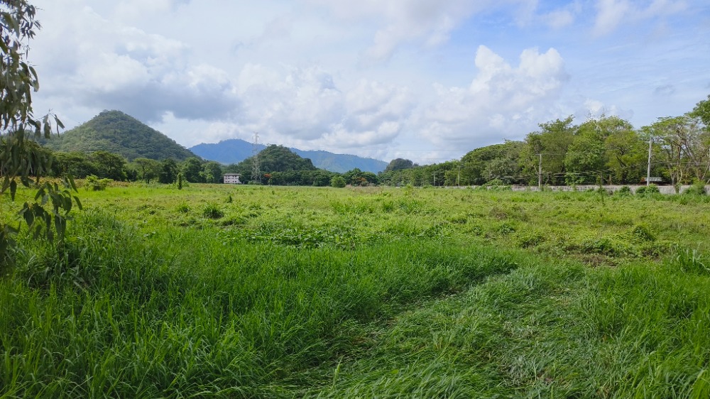 ขายที่ดินสระบุรี : ที่ดินติดถนนมิตรภาพ ถูกมาก, สระบุรี