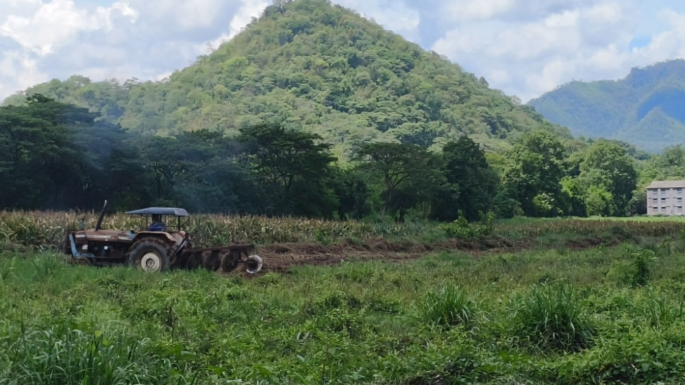 ขายที่ดินสระบุรี : ที่ดินติดถนนมิตรภาพ ถูกมาก, สระบุรี