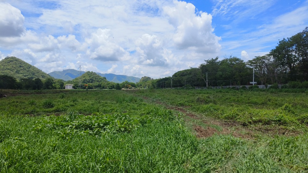 ขายที่ดินสระบุรี : ที่ดินติดถนนมิตรภาพ ถูกมาก, สระบุรี